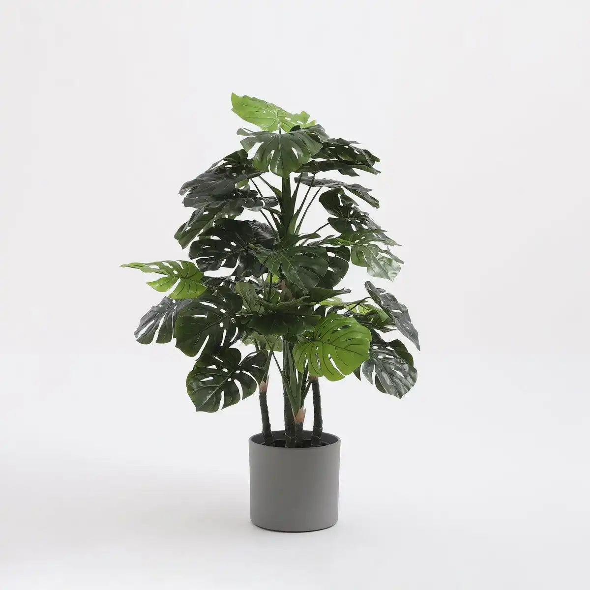Künstliche Pflanze Monstera – H140 x Ø80 cm – Grün - HomeDesign Knaus