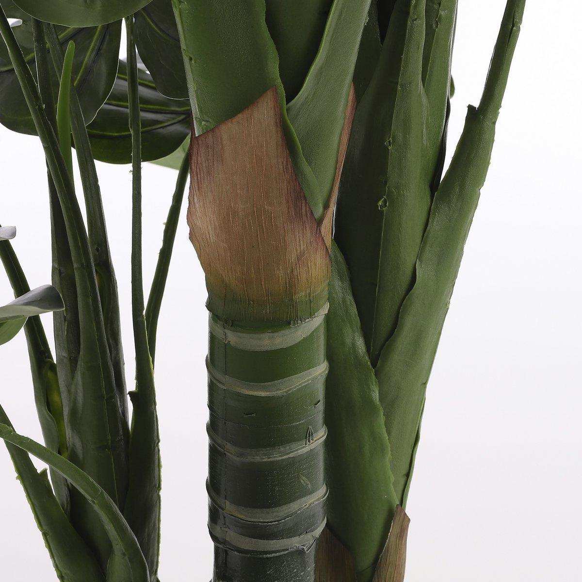 Künstliche Pflanze Monstera – H160 x Ø80 cm – Grün - HomeDesign Knaus