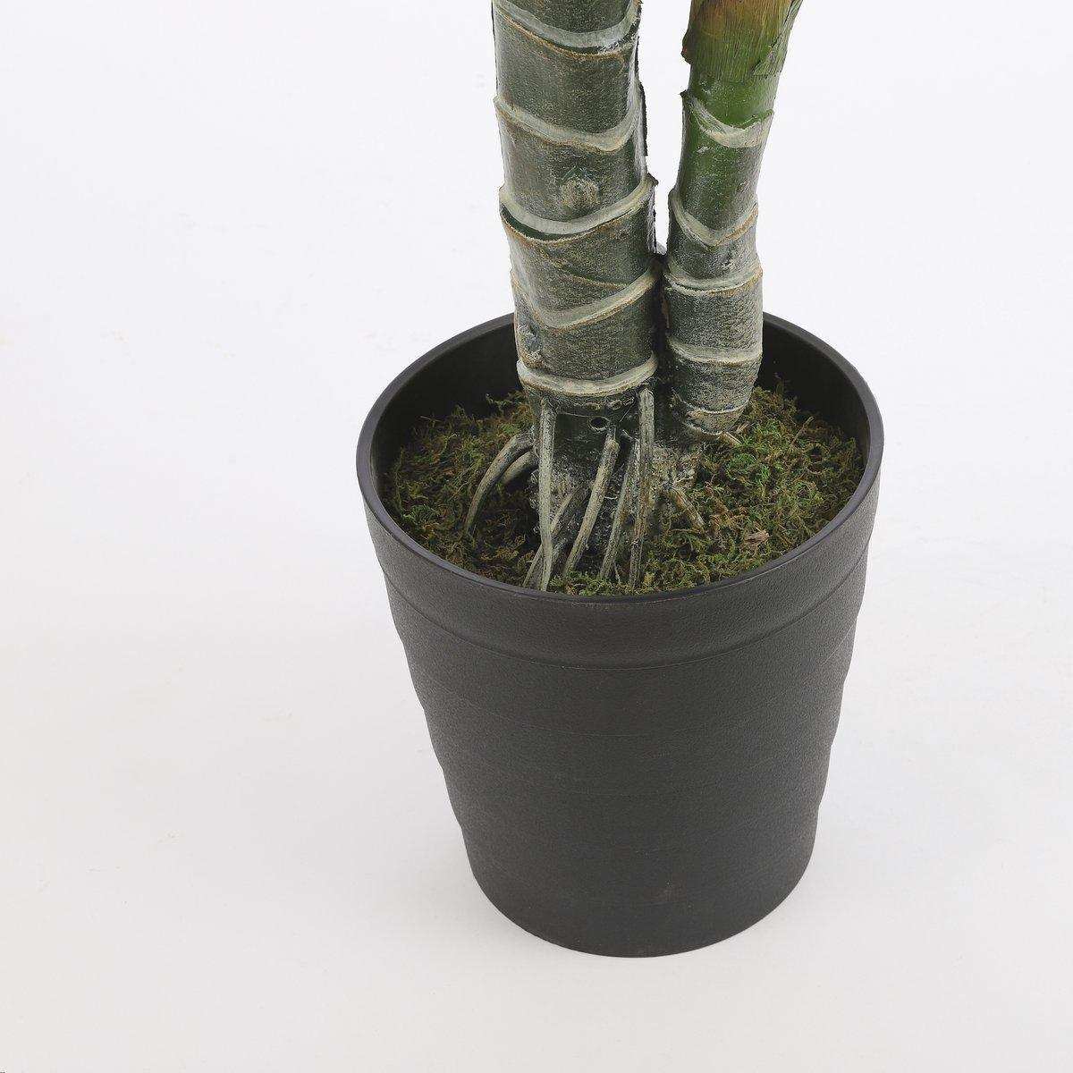 Künstliche Pflanze Monstera – H160 x Ø80 cm – Grün - HomeDesign Knaus