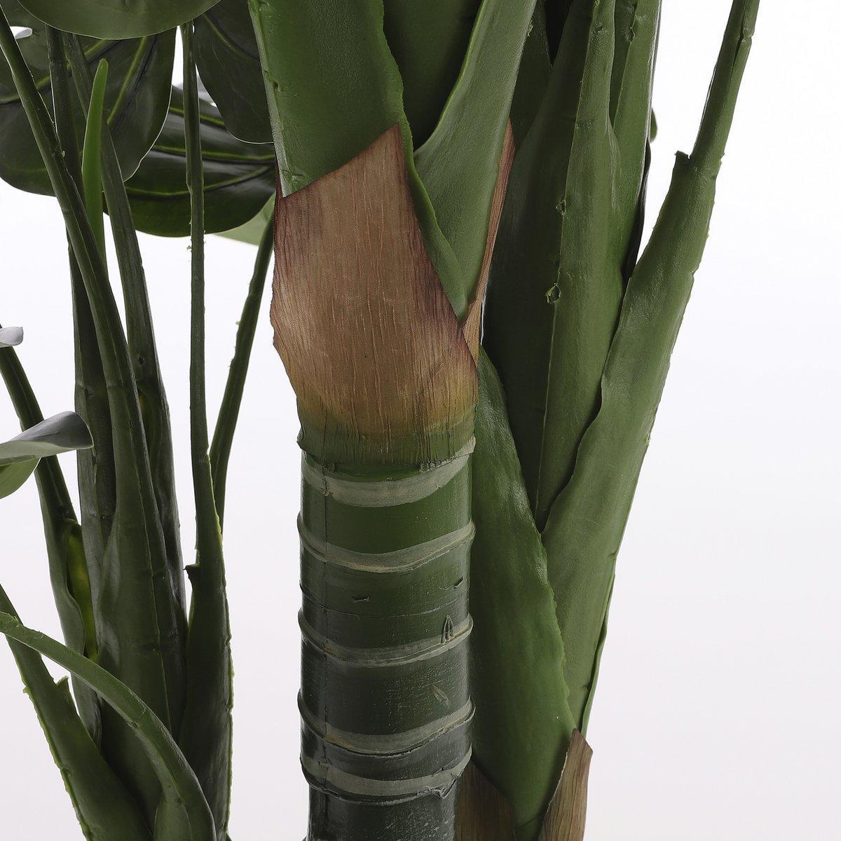 Künstliche Pflanze Monstera – H160 x Ø80 cm – Grün - HomeDesign Knaus
