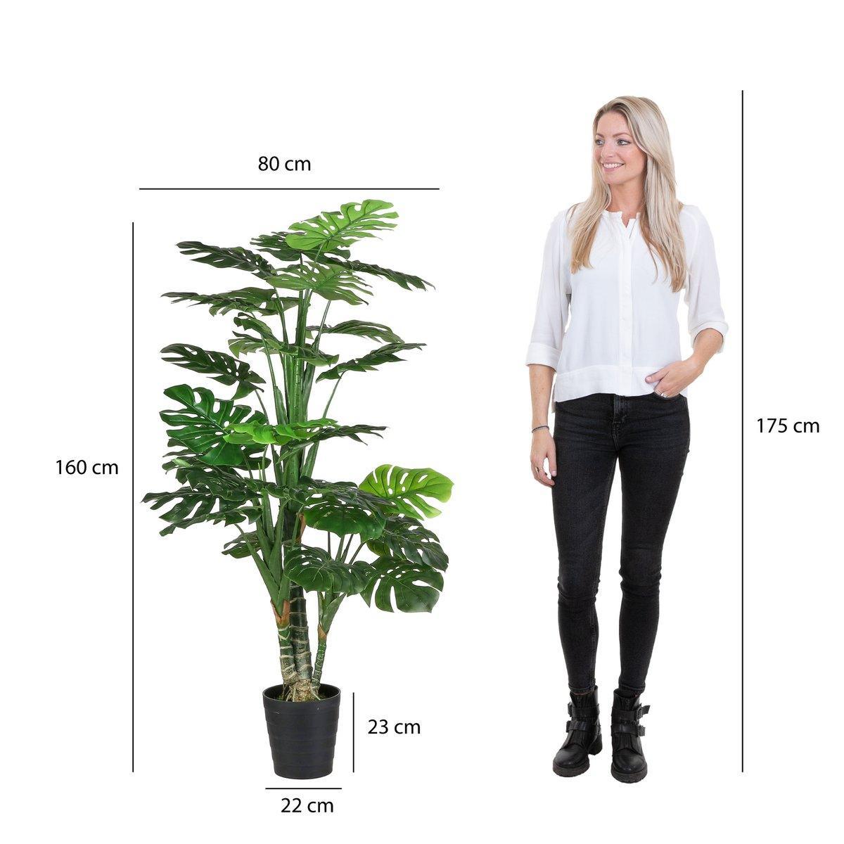 Künstliche Pflanze Monstera – H160 x Ø80 cm – Grün - HomeDesign Knaus