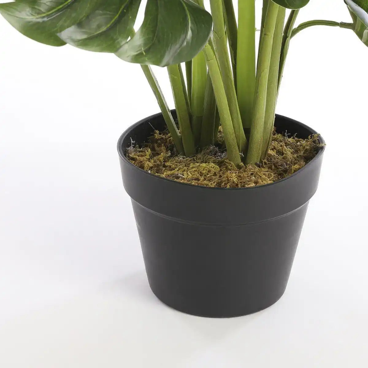 Künstliche Pflanze Monstera – H60 x Ø80 cm – Grün - HomeDesign Knaus