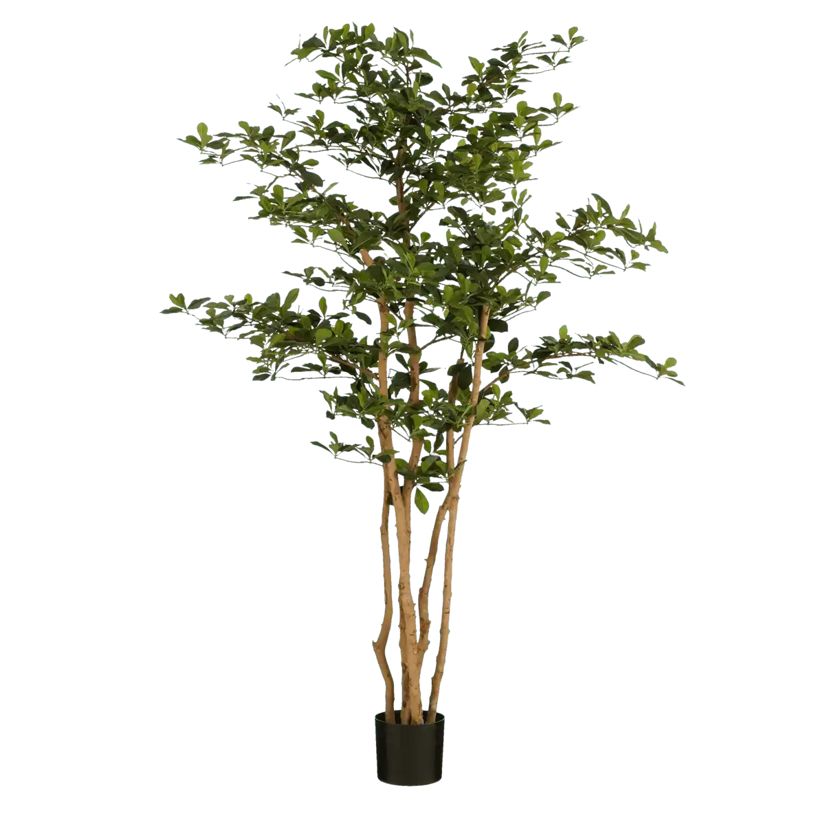 Künstliche Pflanze Olivenbaum im Topf – H183 x Ø130 cm – Grün - HomeDesign Knaus