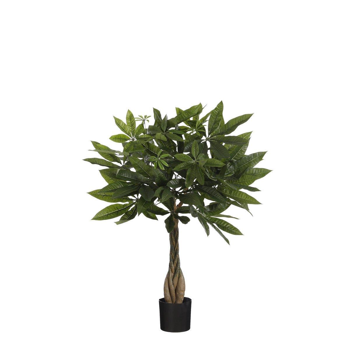 Künstliche Pflanze Pachira – H60 x Ø60 cm – Grün - HomeDesign Knaus