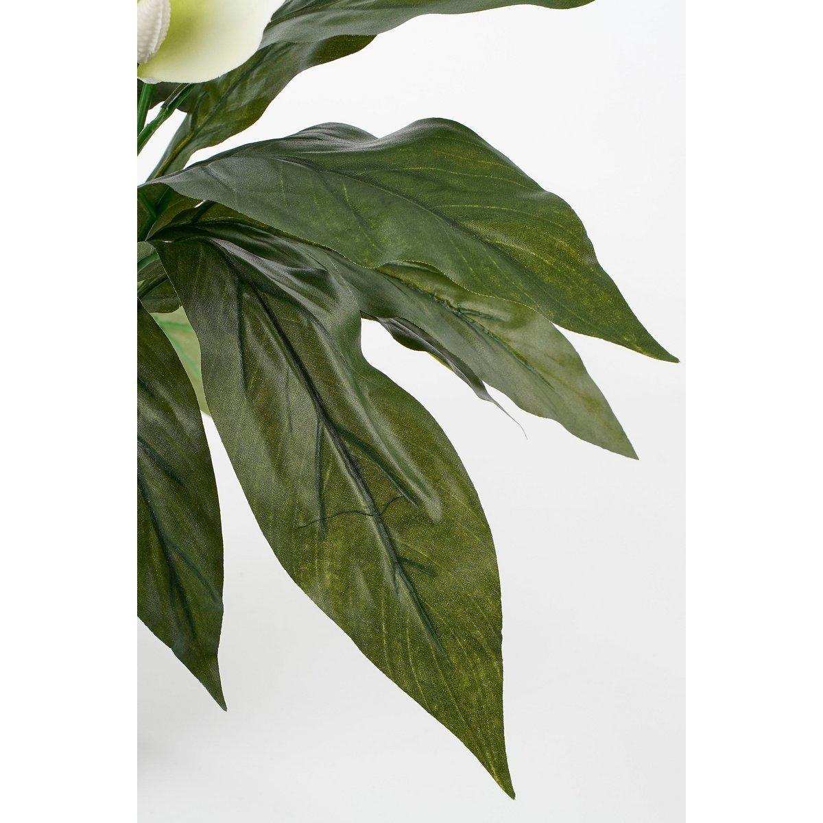 Künstliche Pflanze Spathiphyllum im Blumentopf Stan – H50 x Ø40 cm – Weiß - HomeDesign Knaus