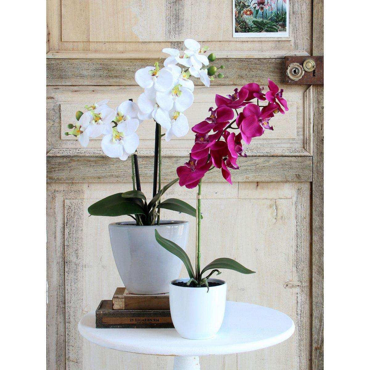 Künstliche Phalaenopsis-Pflanze im Blumentopf Tusca – H60 x Ø16 cm – Lila - HomeDesign Knaus