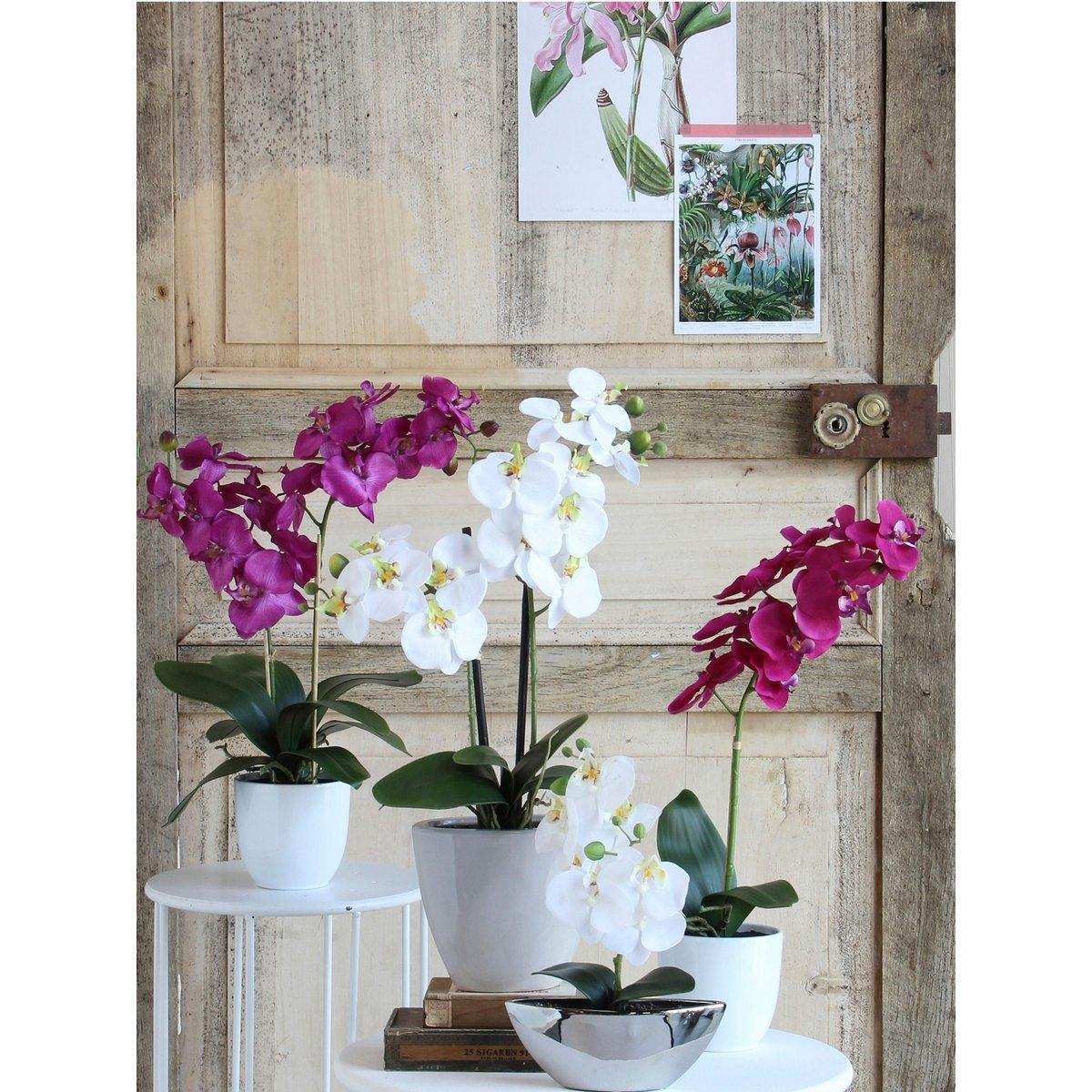 Künstliche Phalaenopsis-Pflanze im Blumentopf Tusca – H60 x Ø16 cm – Lila - HomeDesign Knaus