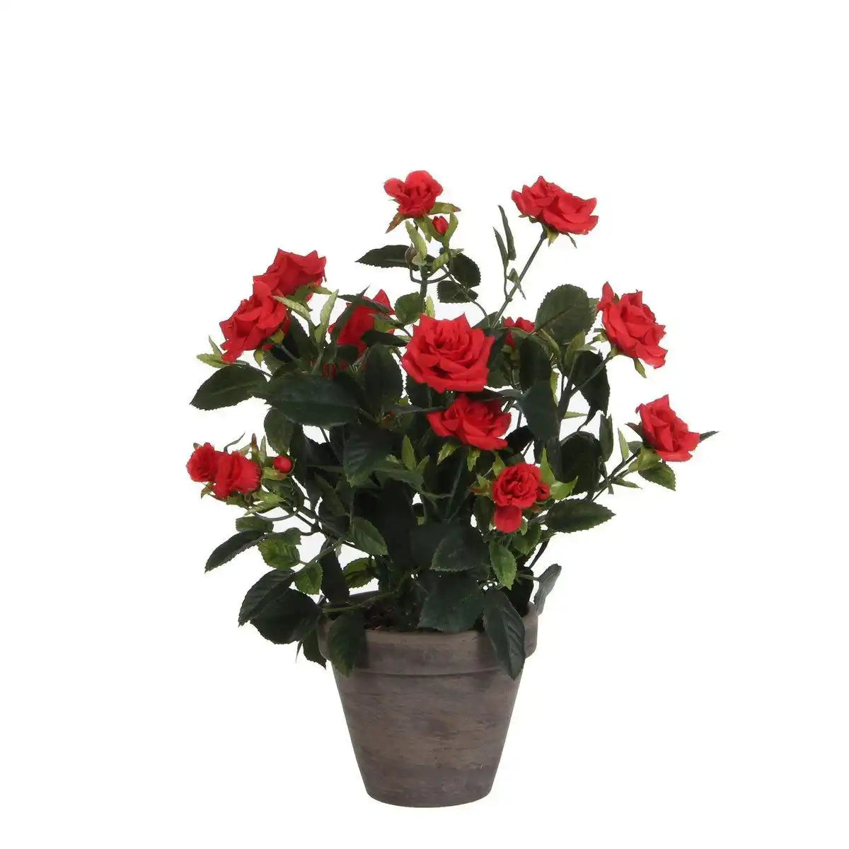 Künstliche Rosenstrauchpflanze im Blumentopf Stan – H33 x Ø25 cm – Rot - HomeDesign Knaus