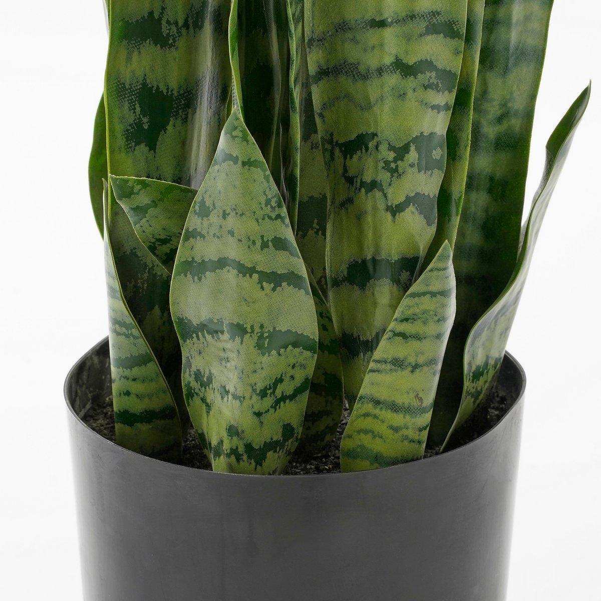 Künstliche Sanseveria-Pflanze im Blumentopf – H80 x Ø15 cm – Grün - HomeDesign Knaus