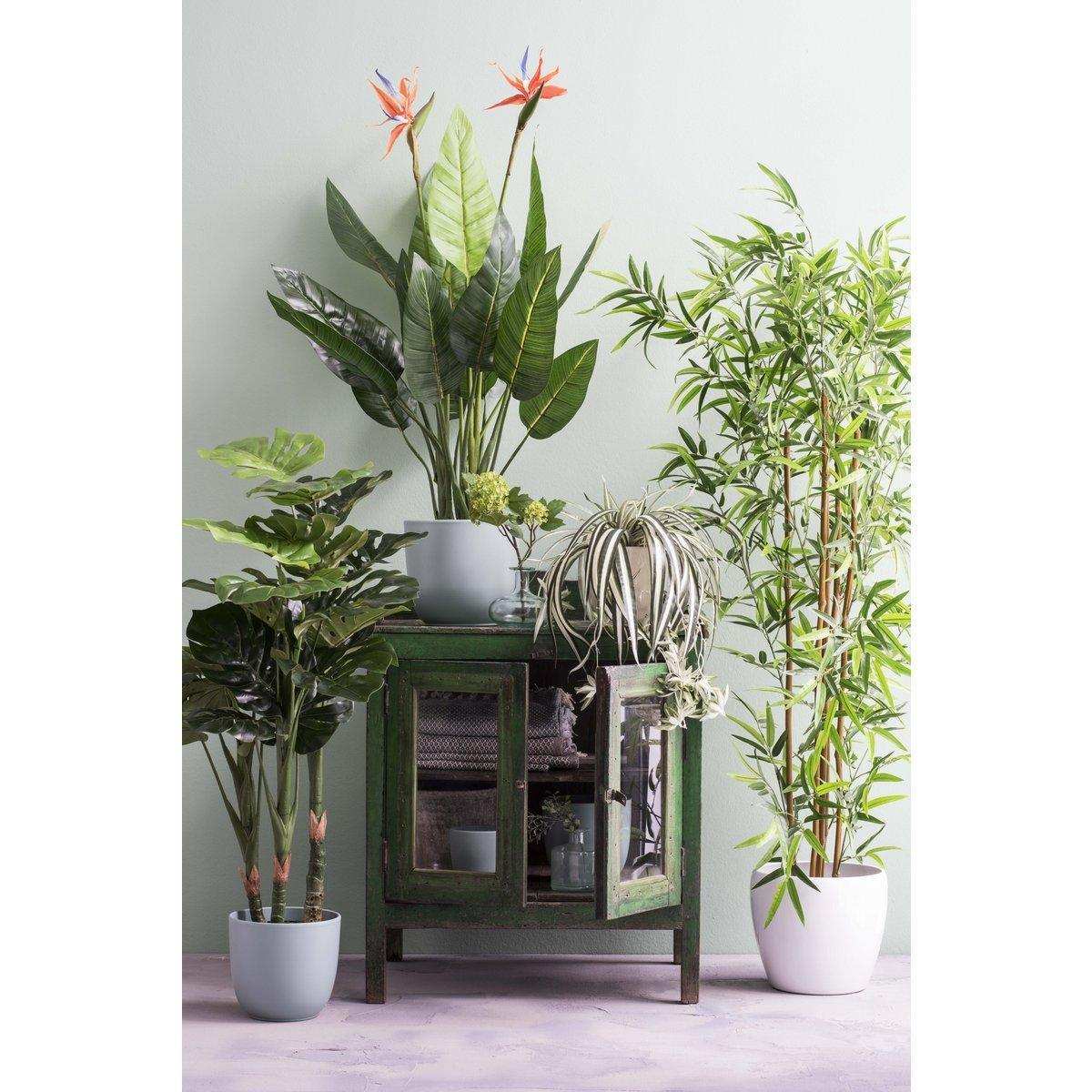 Künstliche Strelitzia-Pflanze – H110 x Ø60 cm – Grün - HomeDesign Knaus