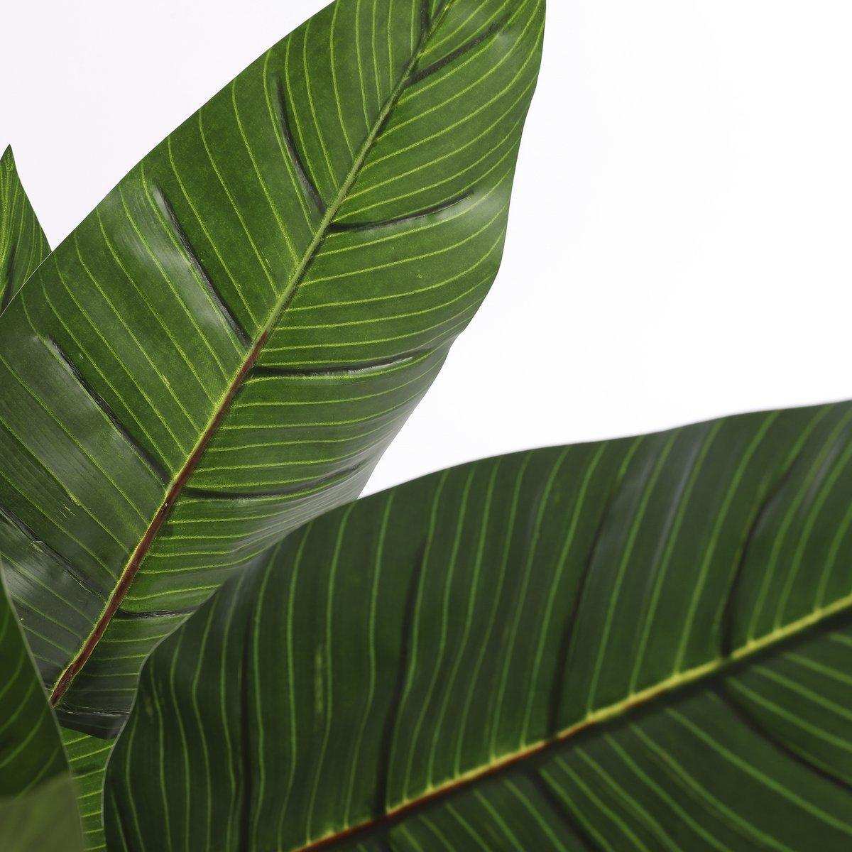 Künstliche Strelitzia-Pflanze – H110 x Ø60 cm – Grün - HomeDesign Knaus