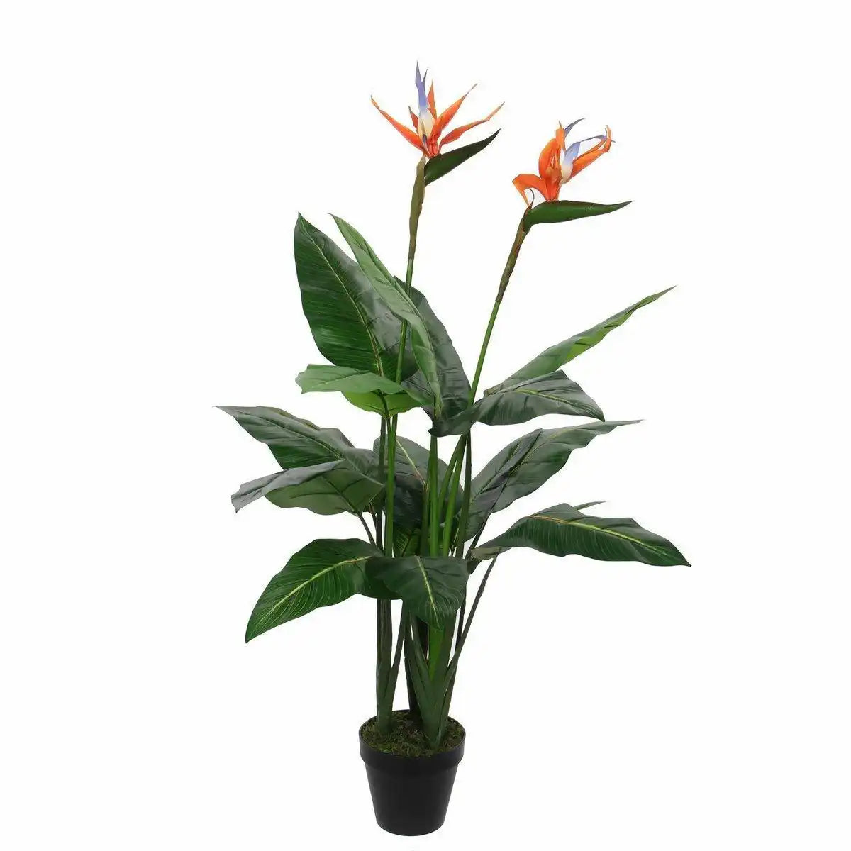 Künstliche Strelitzia-Pflanze – H110 x Ø60 cm – Grün - HomeDesign Knaus