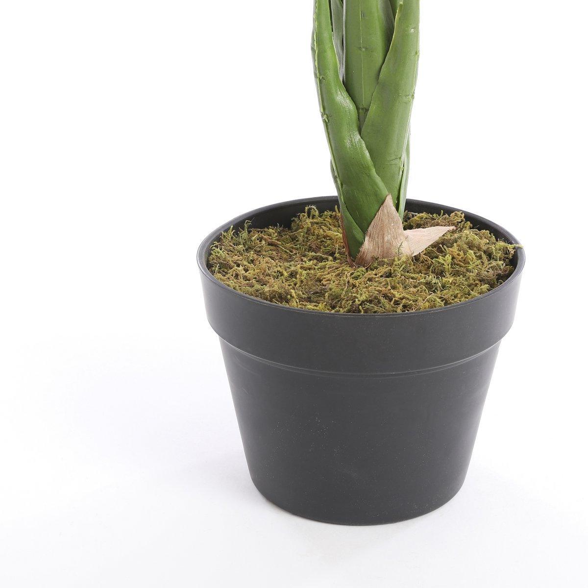 Künstliche Taro-Pflanze – H60 x Ø60 cm – Grün - HomeDesign Knaus