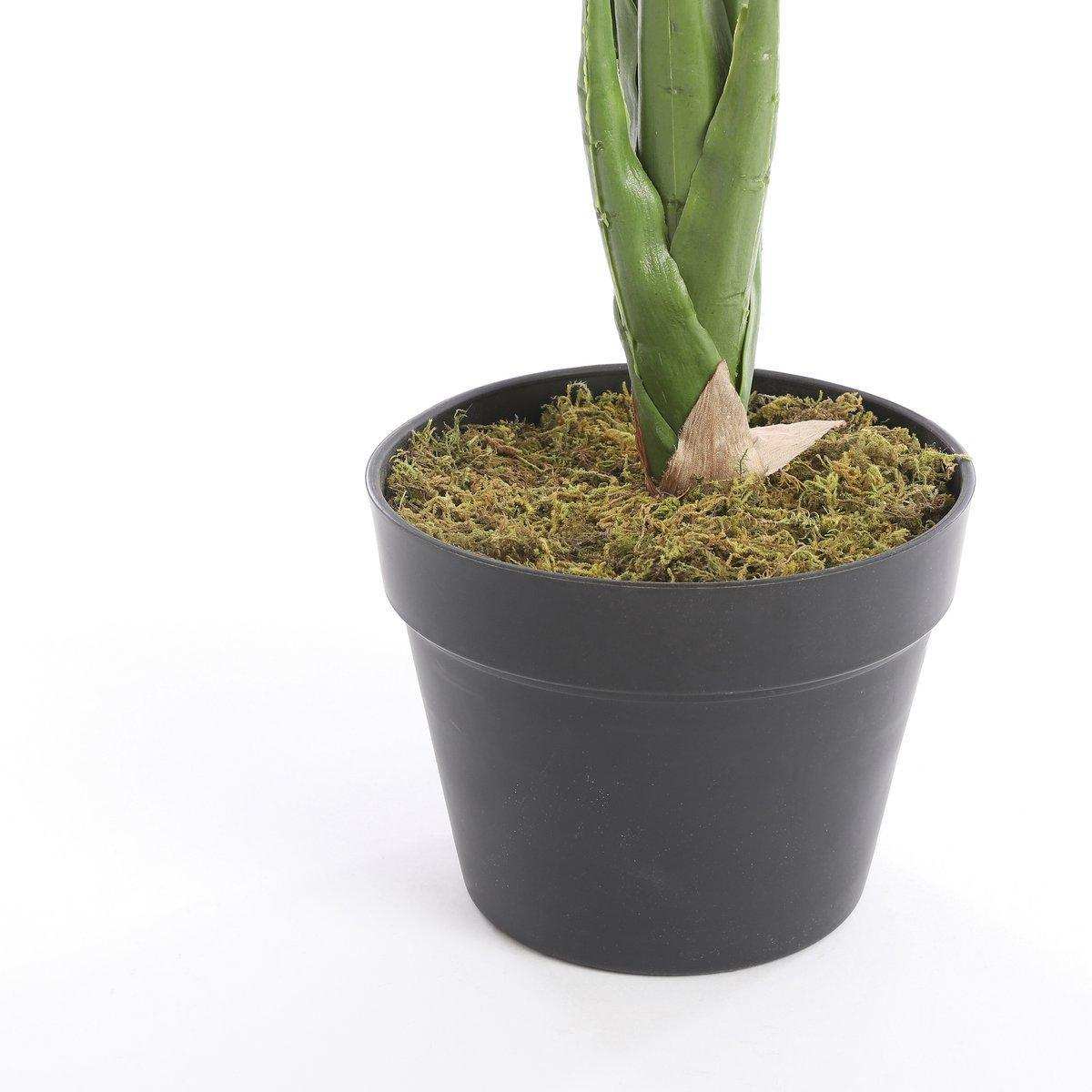 Künstliche Taro-Pflanze – H60 x Ø60 cm – Grün - HomeDesign Knaus