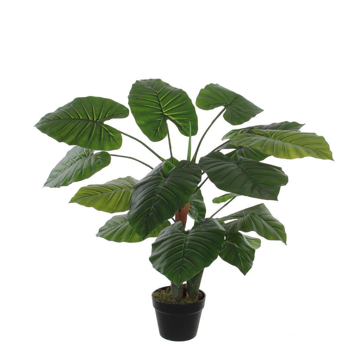 Künstliche Taro-Pflanze – H90 x Ø60 cm – Grün - HomeDesign Knaus