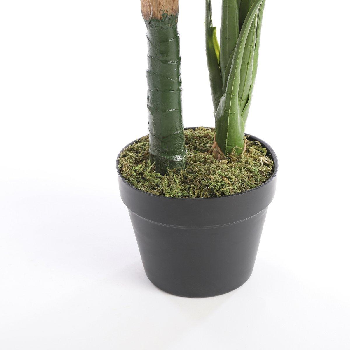 Künstliche Taro-Pflanze – H90 x Ø60 cm – Grün - HomeDesign Knaus