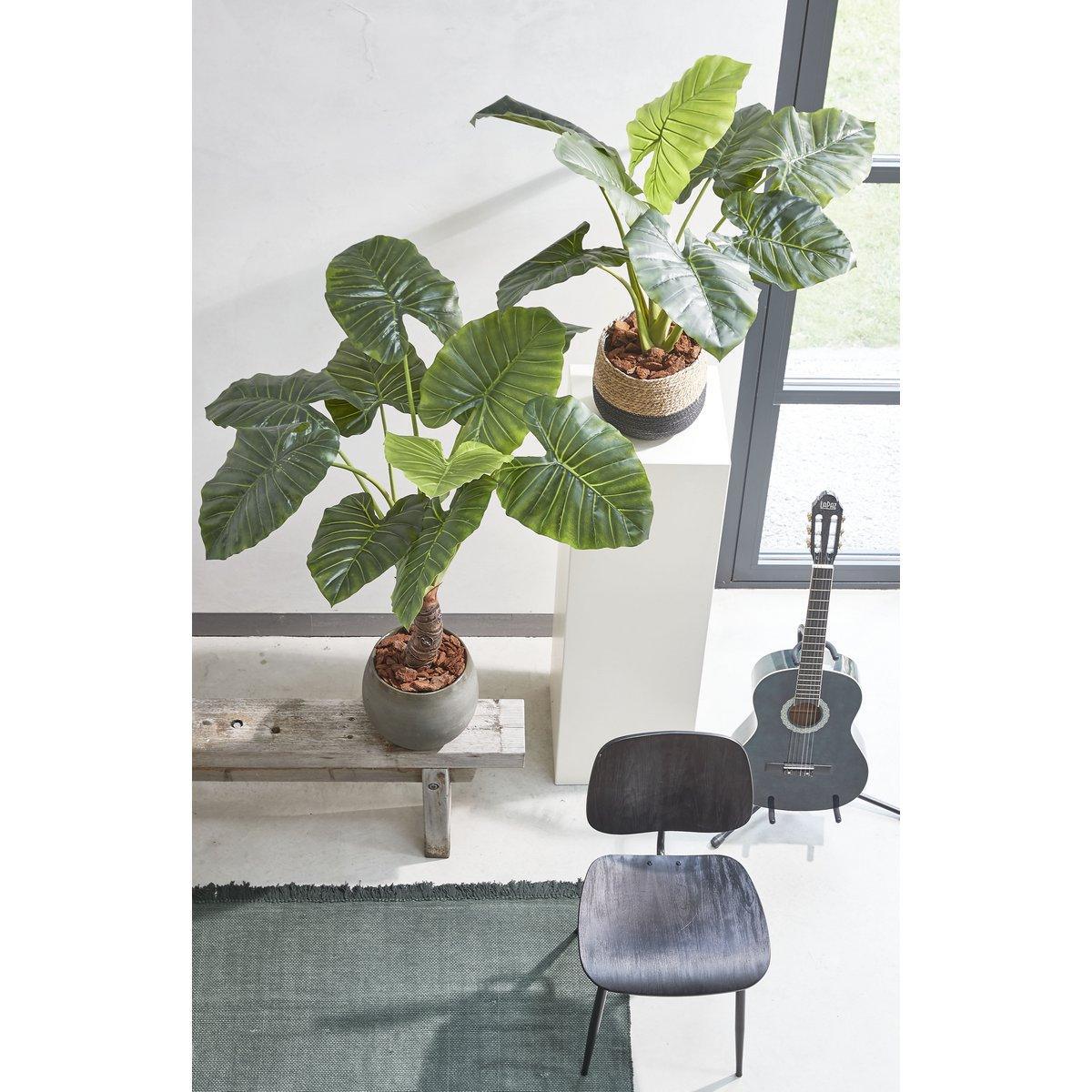 Künstliche Taro-Pflanze – H90 x Ø60 cm – Grün - HomeDesign Knaus