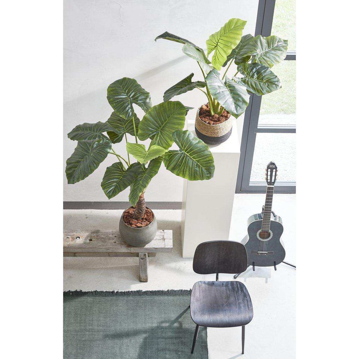 Künstliche Taro-Pflanze – H90 x Ø60 cm – Grün - HomeDesign Knaus