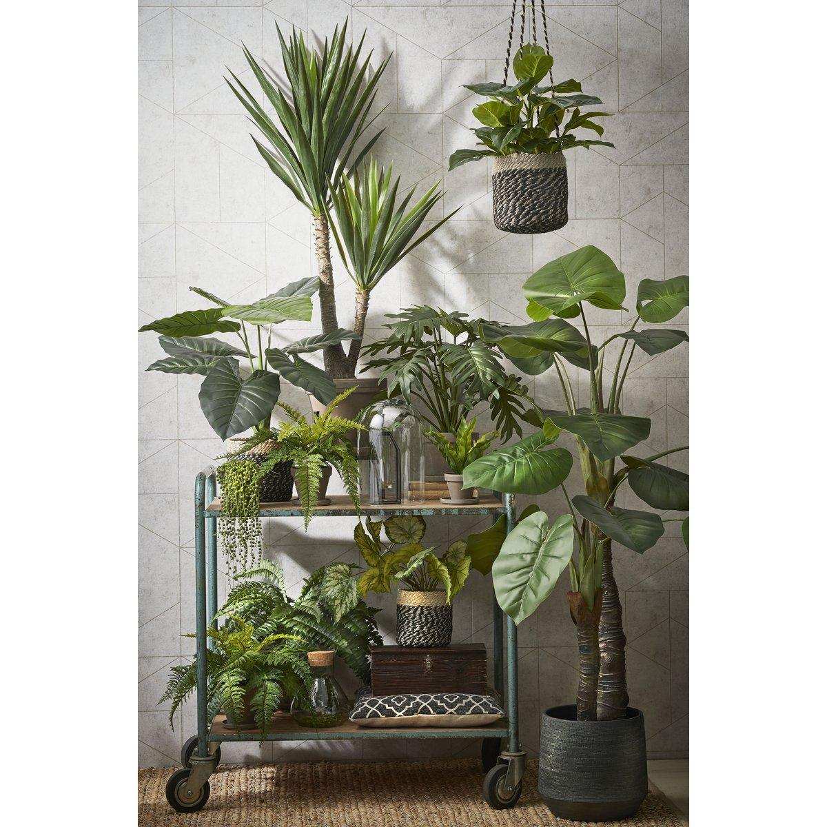 Künstliche Yucca-Pflanze – H120 x Ø60 cm – Grün - HomeDesign Knaus