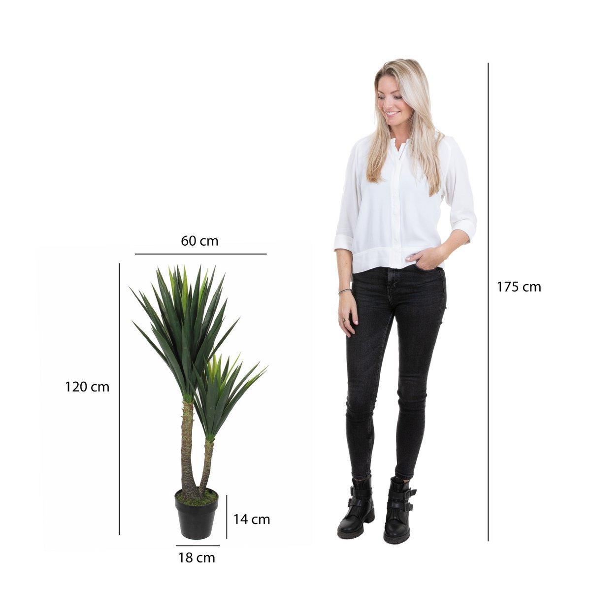Künstliche Yucca-Pflanze – H120 x Ø60 cm – Grün - HomeDesign Knaus