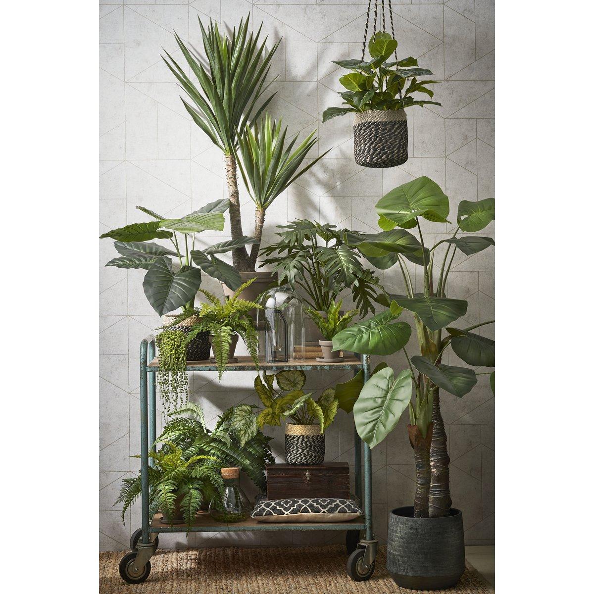 Künstliche Yucca-Pflanze – H120 x Ø60 cm – Grün - HomeDesign Knaus