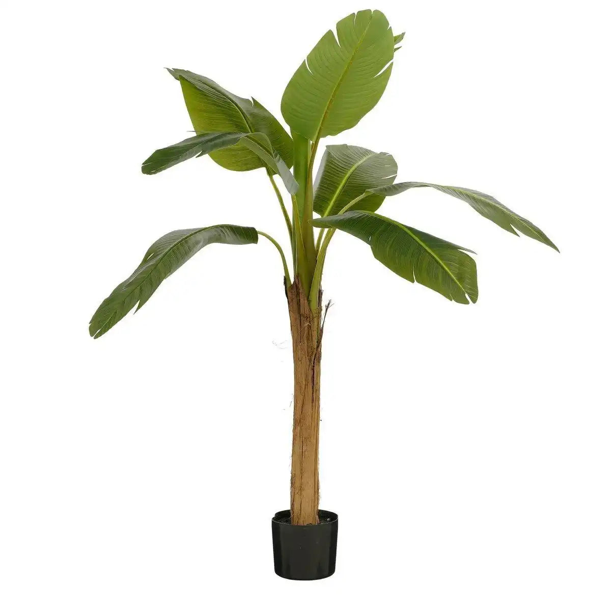 Künstlicher Bananenbaum im Topf – H155 x Ø90 cm – Grün - HomeDesign Knaus