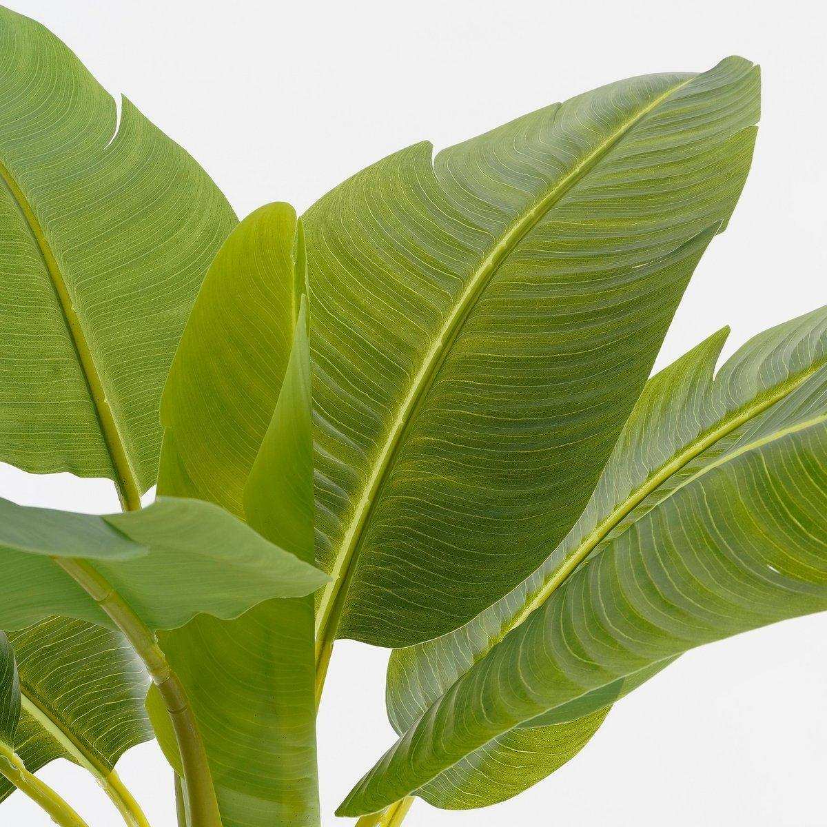 Künstlicher Bananenbaum im Topf – H155 x Ø90 cm – Grün - HomeDesign Knaus
