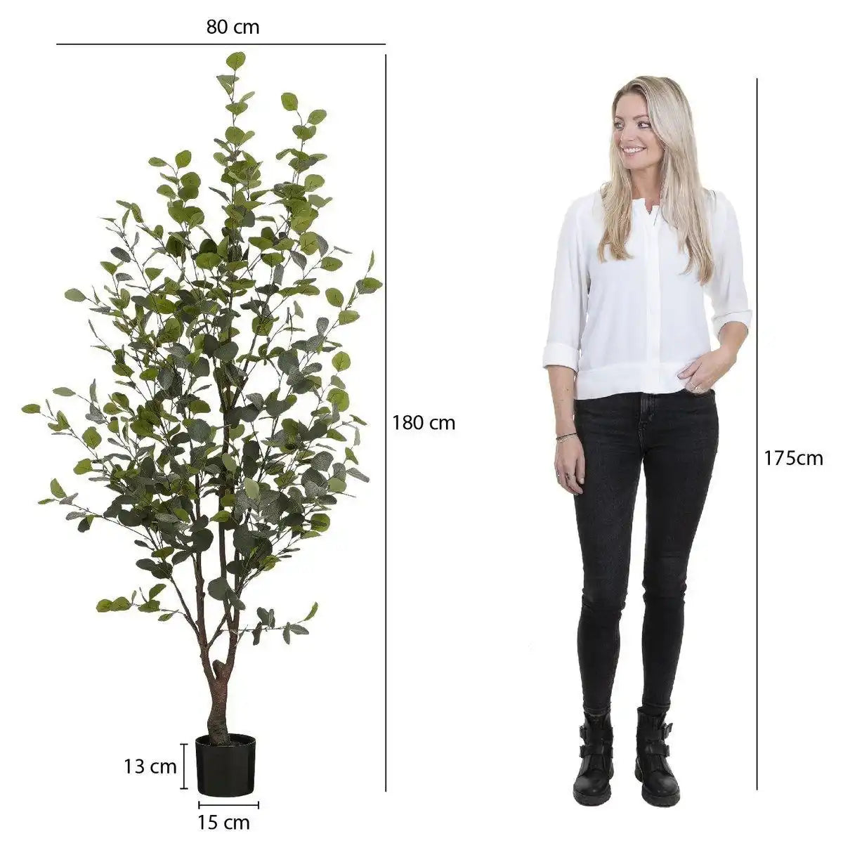 Kunstpflanze Eukalyptusbaum im Topf – H180 x Ø80 cm – Grün - HomeDesign Knaus