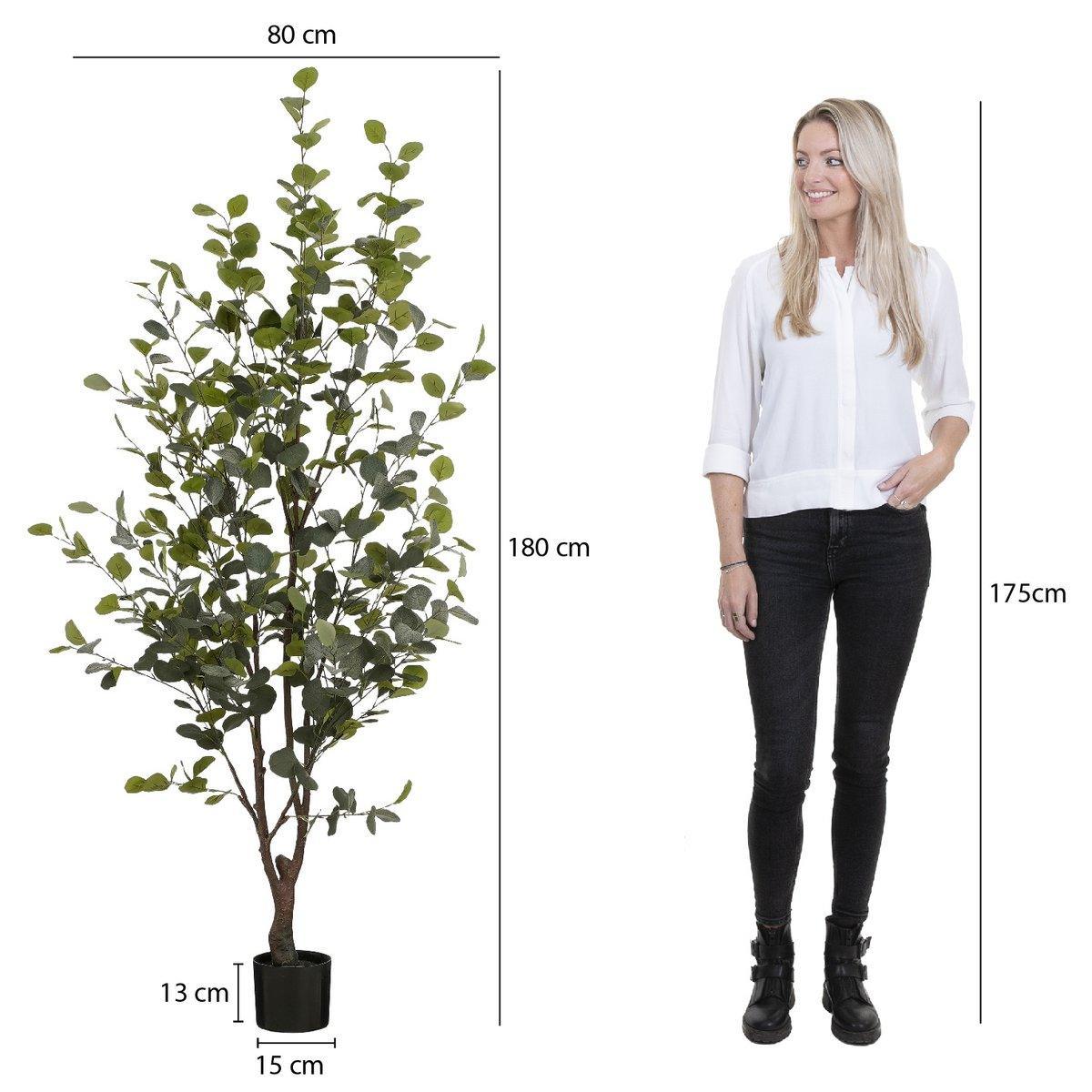 Kunstpflanze Eukalyptusbaum im Topf – H180 x Ø80 cm – Grün - HomeDesign Knaus