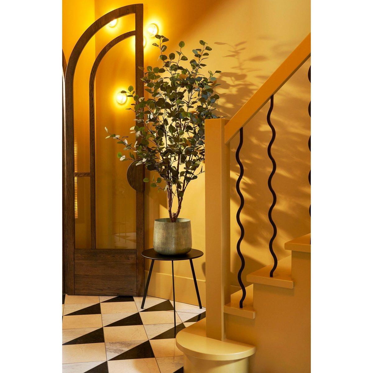 Kunstpflanze Eukalyptusbaum im Topf – H180 x Ø80 cm – Grün - HomeDesign Knaus