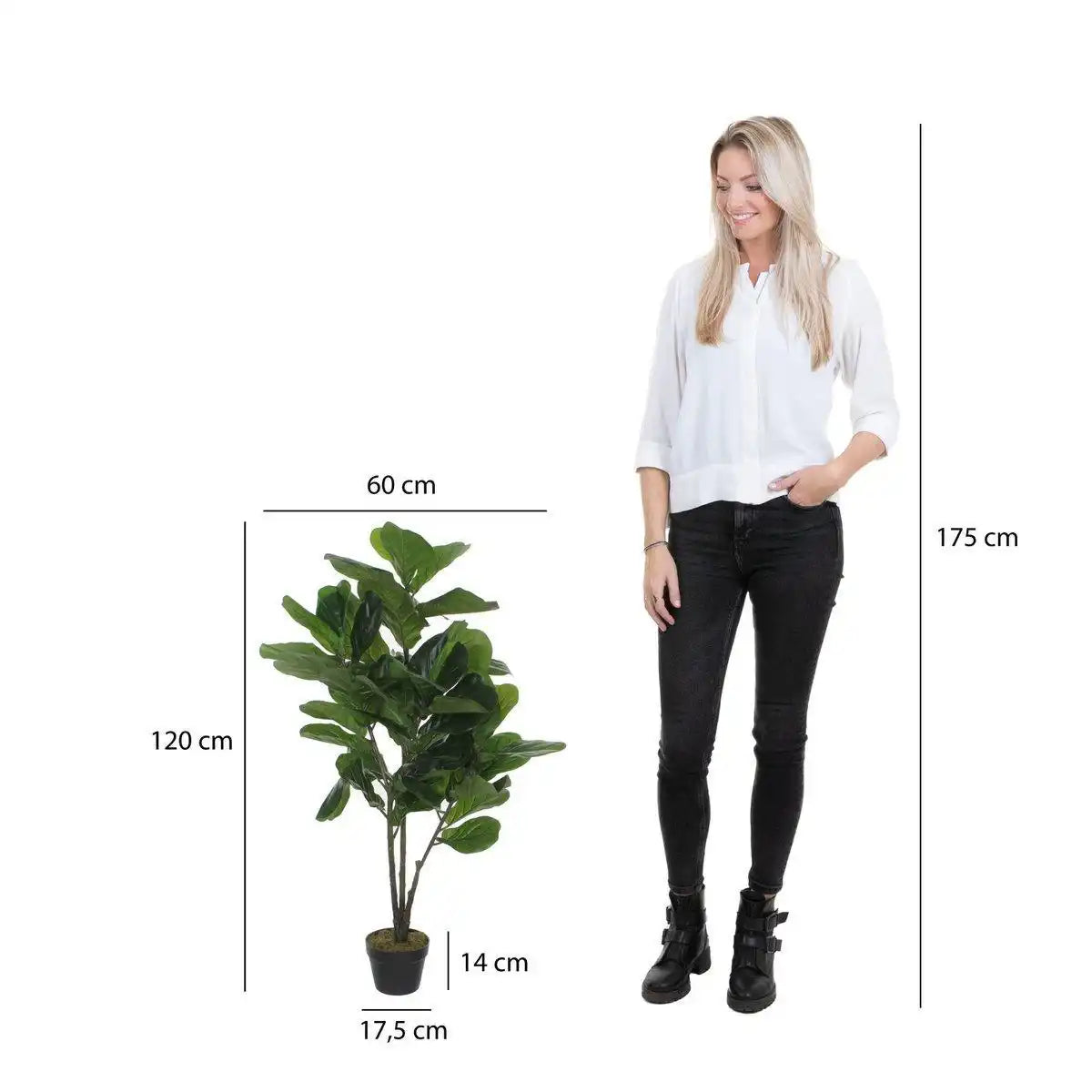 Kunstpflanze Ficus Lyrata - H120 x Ø60 cm - Grün - HomeDesign Knaus
