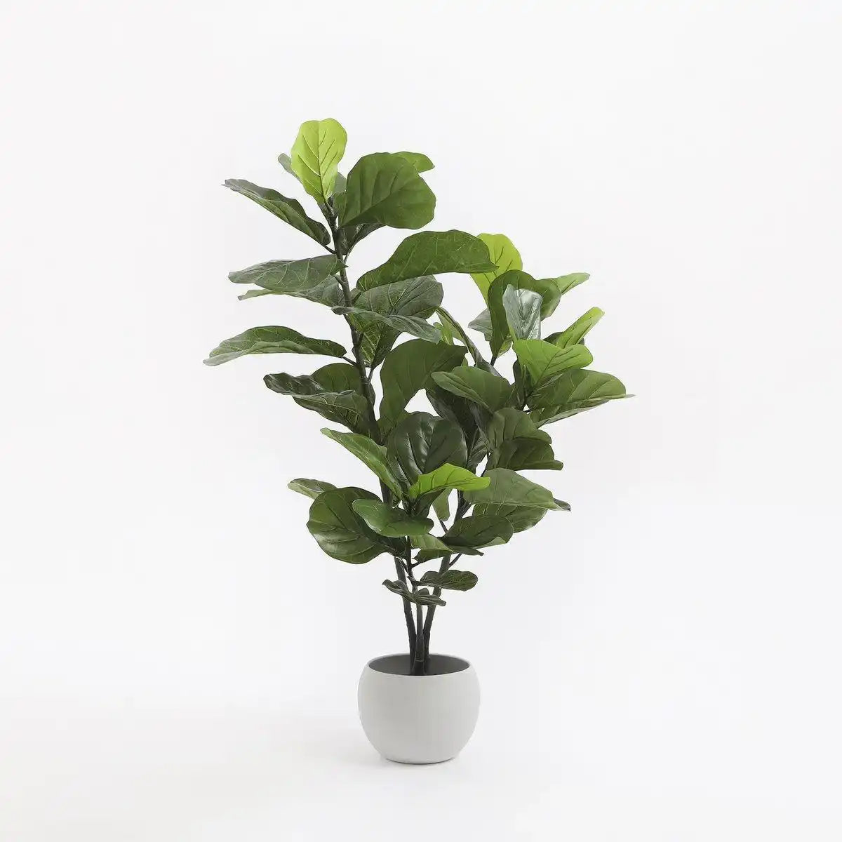 Kunstpflanze Ficus Lyrata - H120 x Ø60 cm - Grün - HomeDesign Knaus
