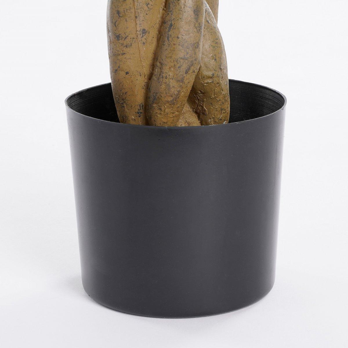 Kunstpflanze Pachira - H80 x Ø60 cm - Grün - HomeDesign Knaus