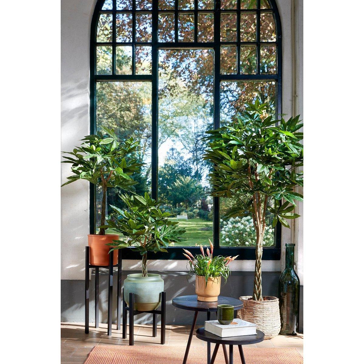 Kunstpflanze Pachira - H80 x Ø60 cm - Grün - HomeDesign Knaus