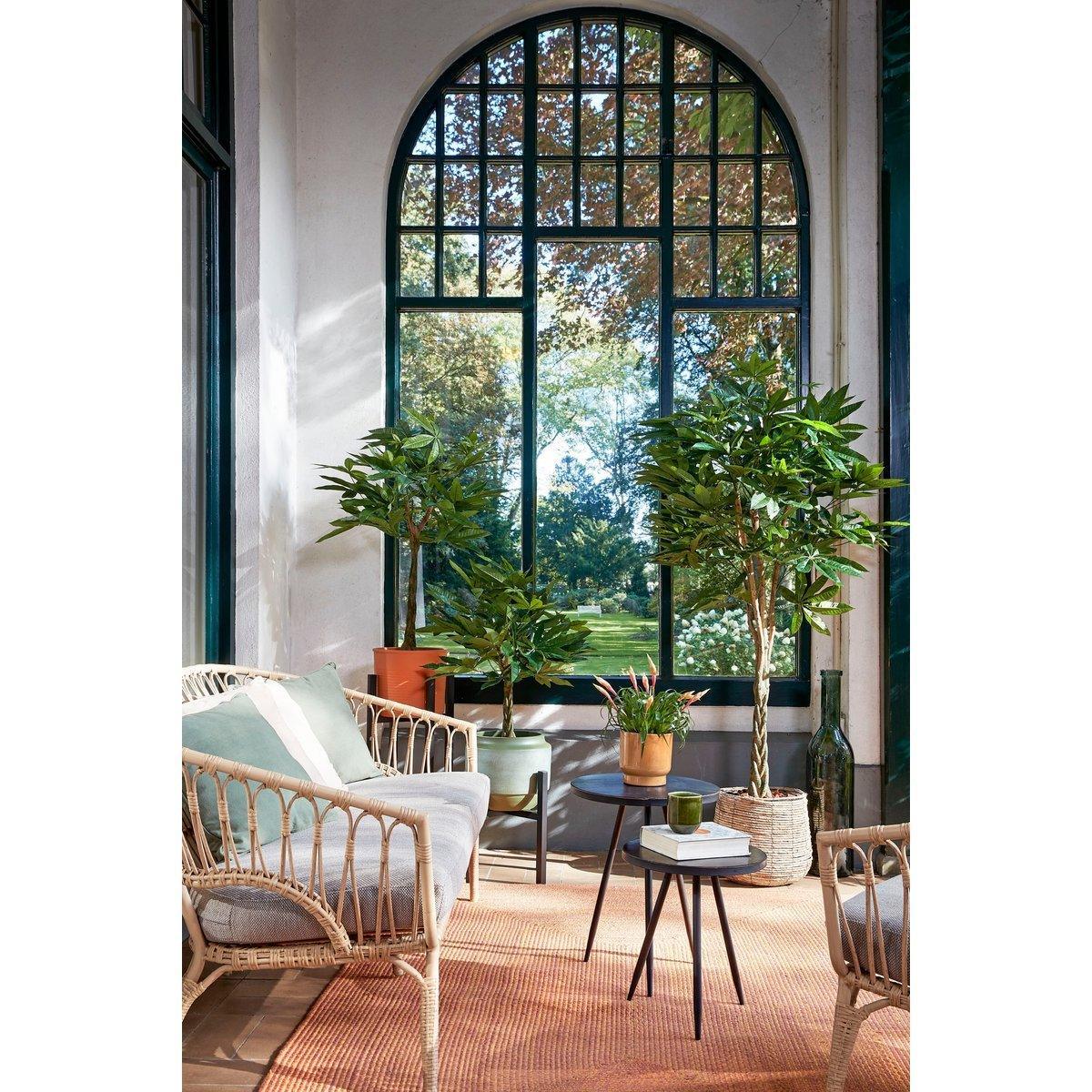 Kunstpflanze Pachira - H80 x Ø60 cm - Grün - HomeDesign Knaus