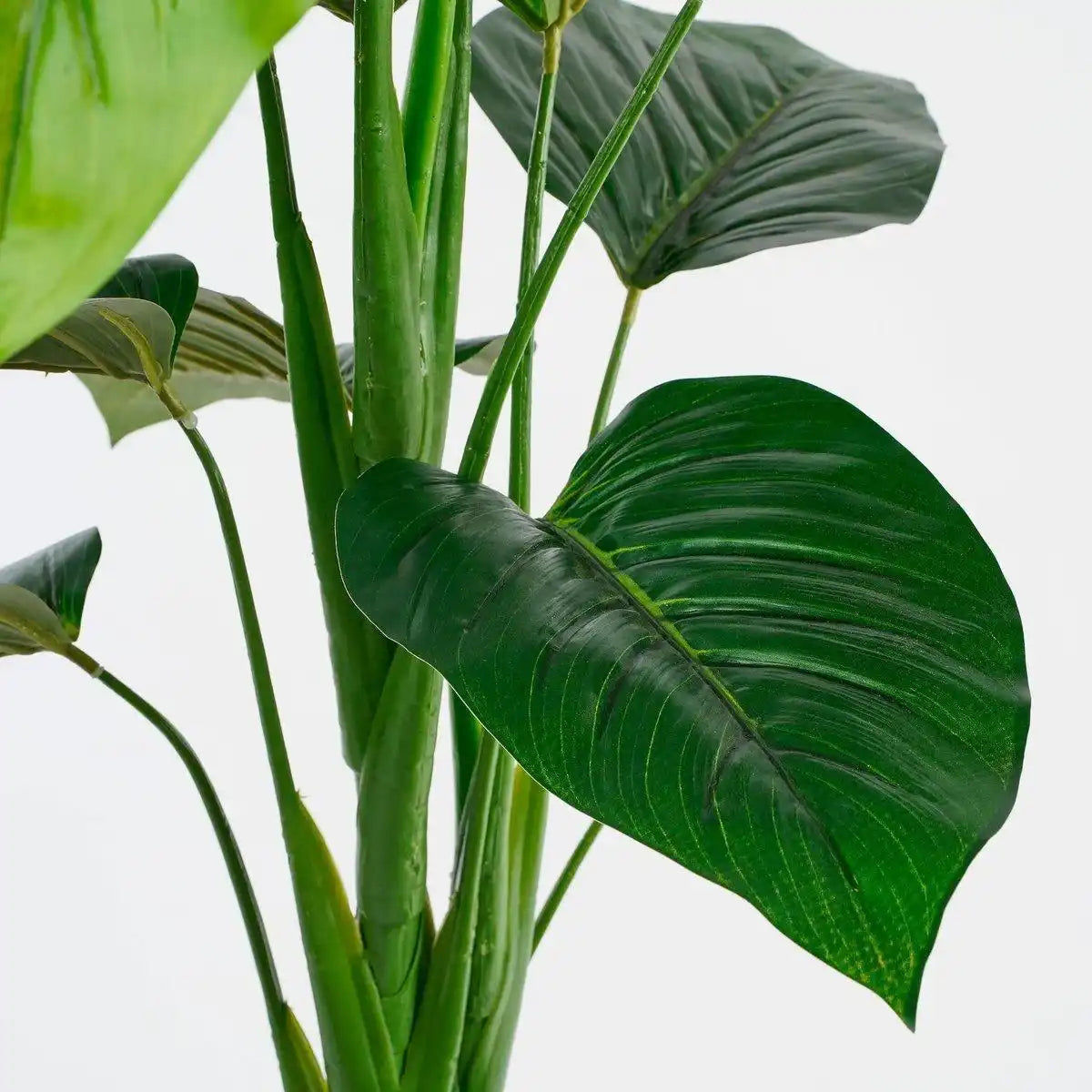 Kunstpflanze Philodendron - H100x Ø70 cm - Grün - HomeDesign Knaus