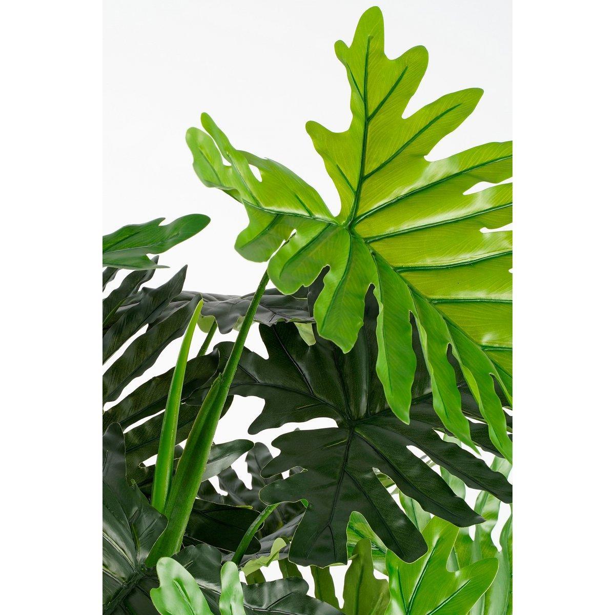 Kunstpflanze Philodendron – H120 x Ø80 cm – Grün - HomeDesign Knaus