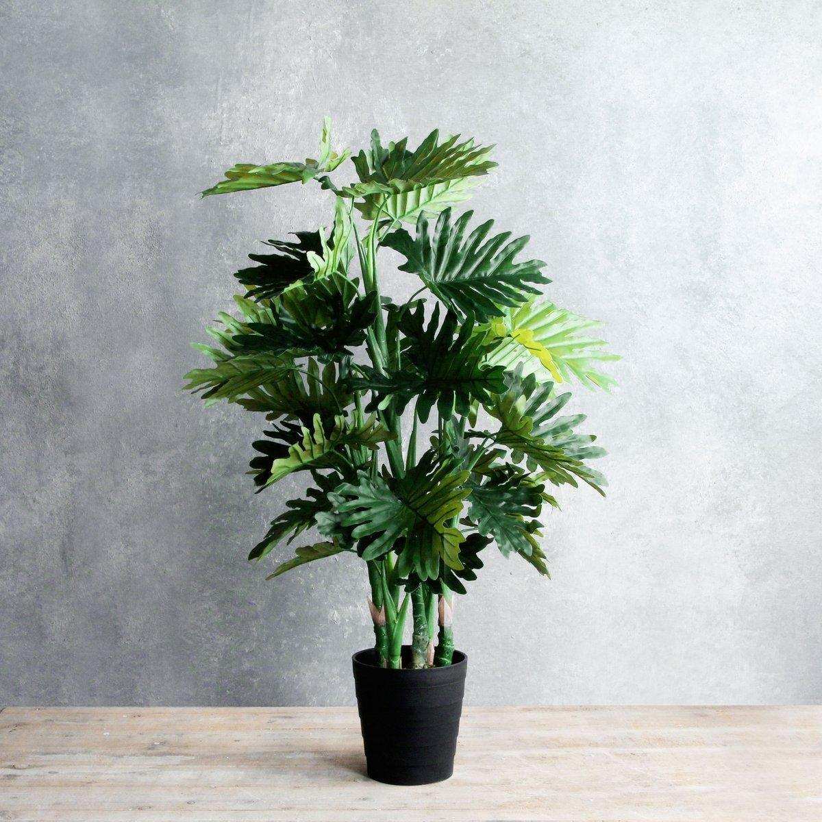 Kunstpflanze Philodendron – H120 x Ø80 cm – Grün - HomeDesign Knaus