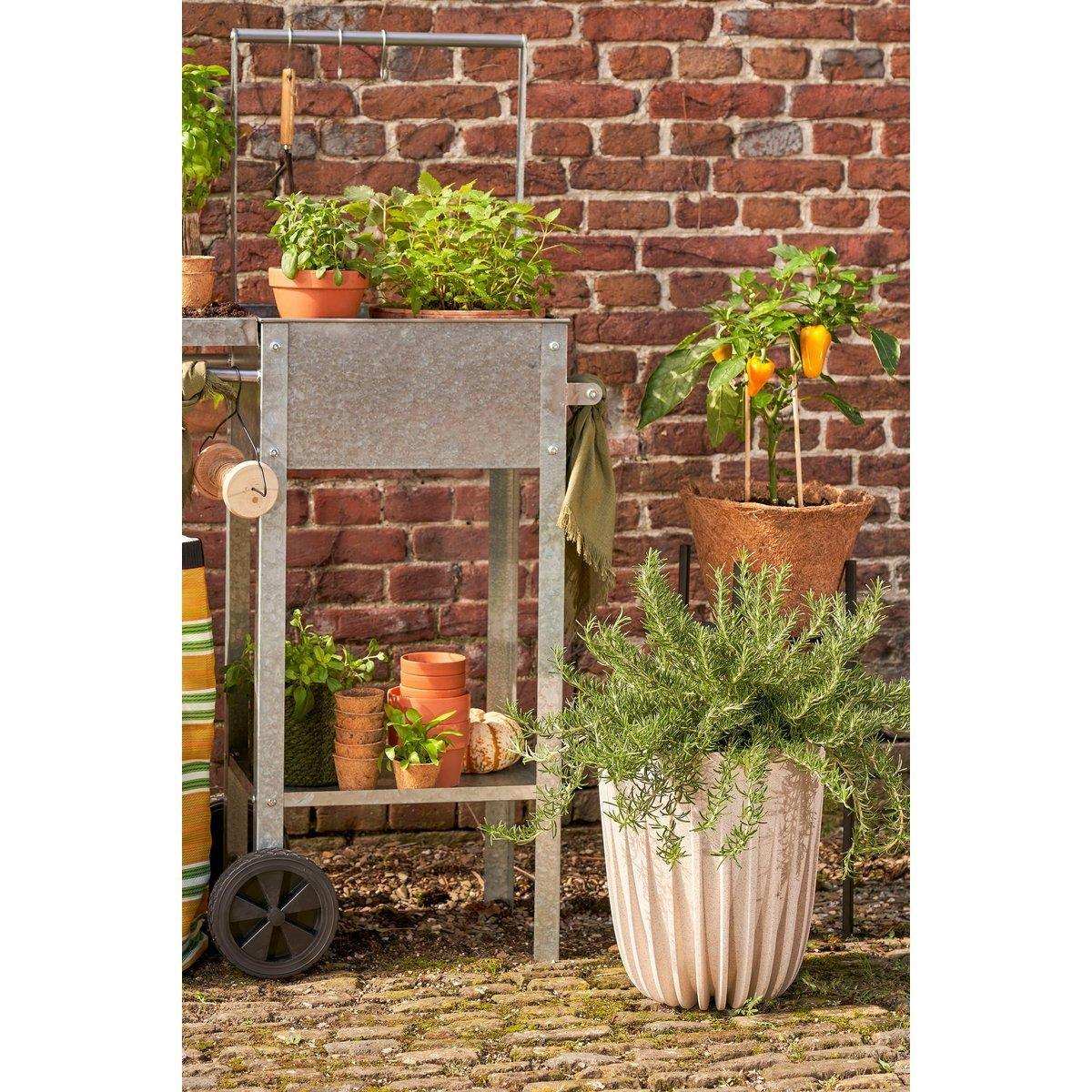 Lungo-Blumentopf – H36 x Ø30 cm – Polypropylen – FSC-Mix – gebrochenes Weiß - HomeDesign Knaus