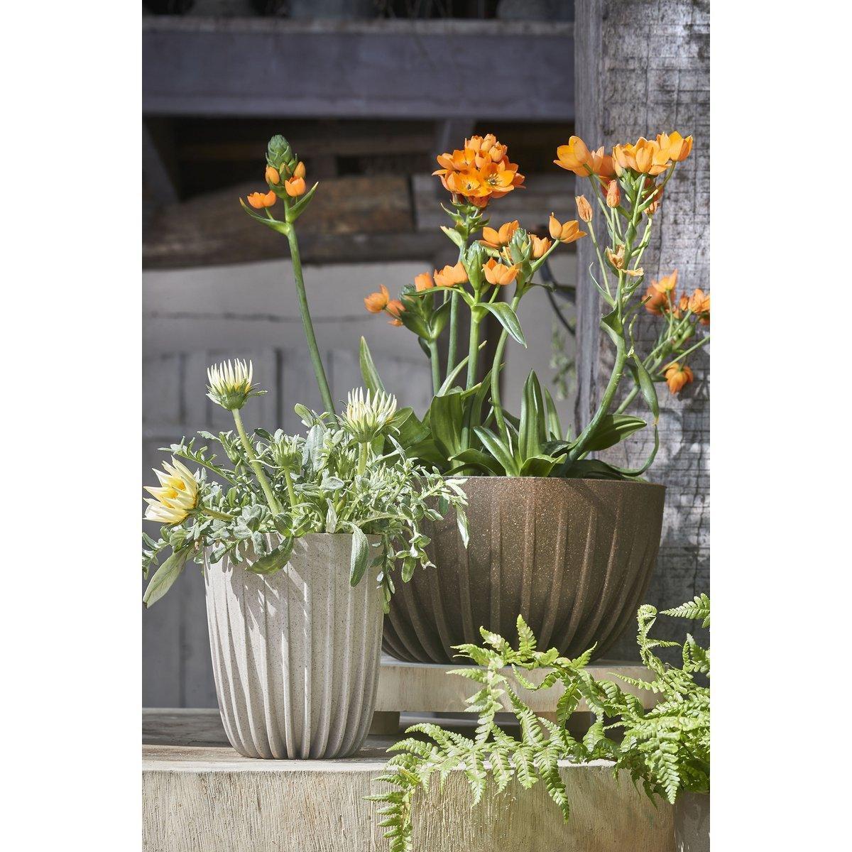 Lungo-Blumentopf – H36 x Ø30 cm – Polypropylen – FSC-Mix – gebrochenes Weiß - HomeDesign Knaus