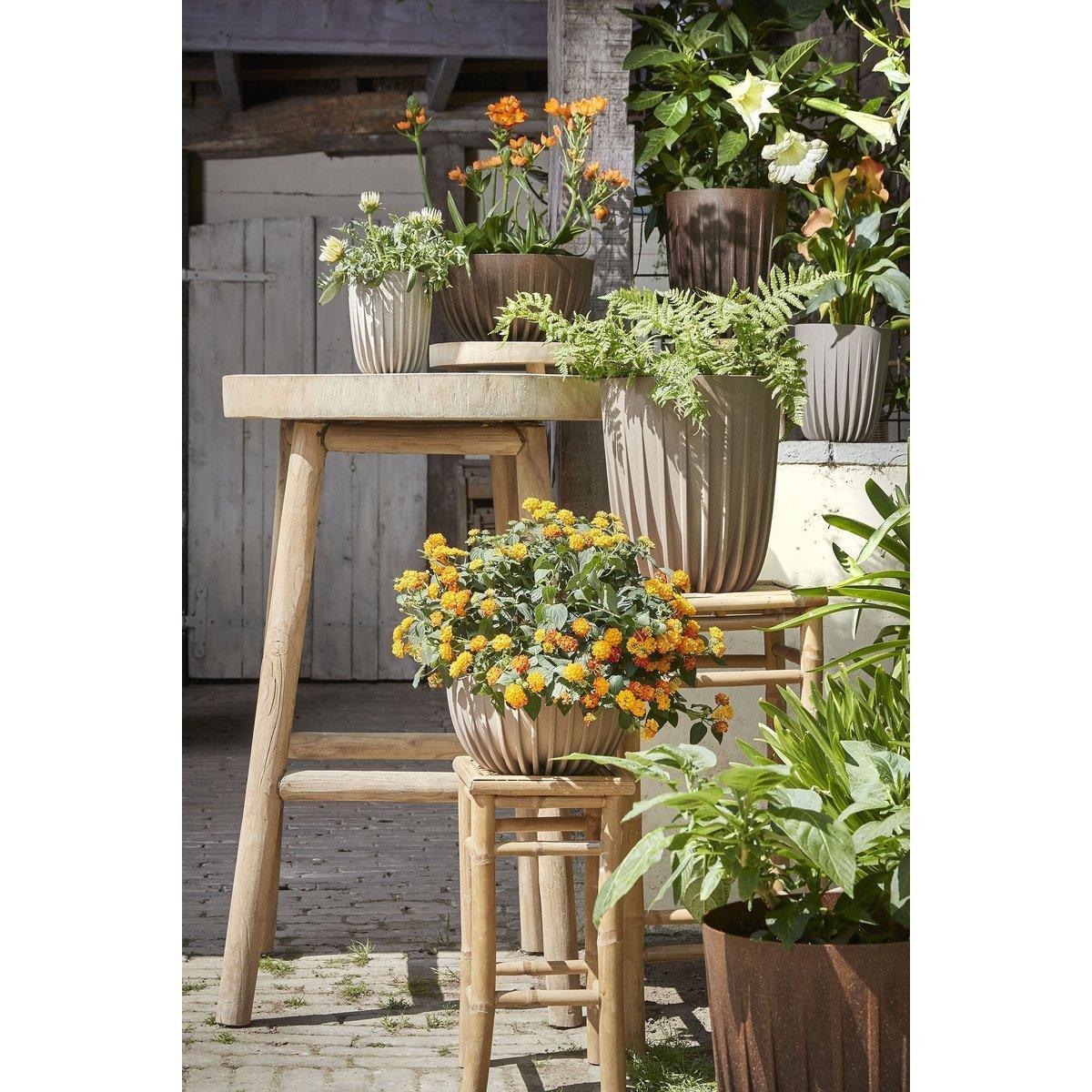 Lungo-Blumentopf – H36 x Ø30 cm – Polypropylen – FSC-Mix – gebrochenes Weiß - HomeDesign Knaus