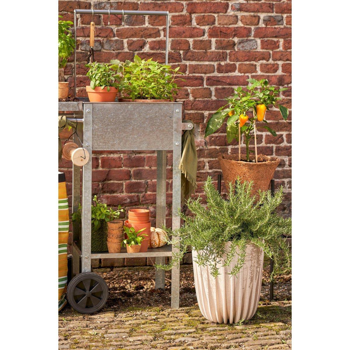 Lungo-Blumentopf – H36 x Ø30 cm – Polypropylen – FSC-Mix – gebrochenes Weiß - HomeDesign Knaus