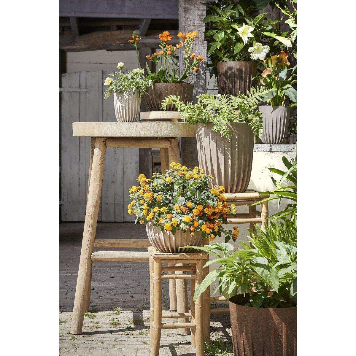 Lungo-Blumentopf – H36 x Ø30 cm – Polypropylen – FSC-Mix – gebrochenes Weiß - HomeDesign Knaus