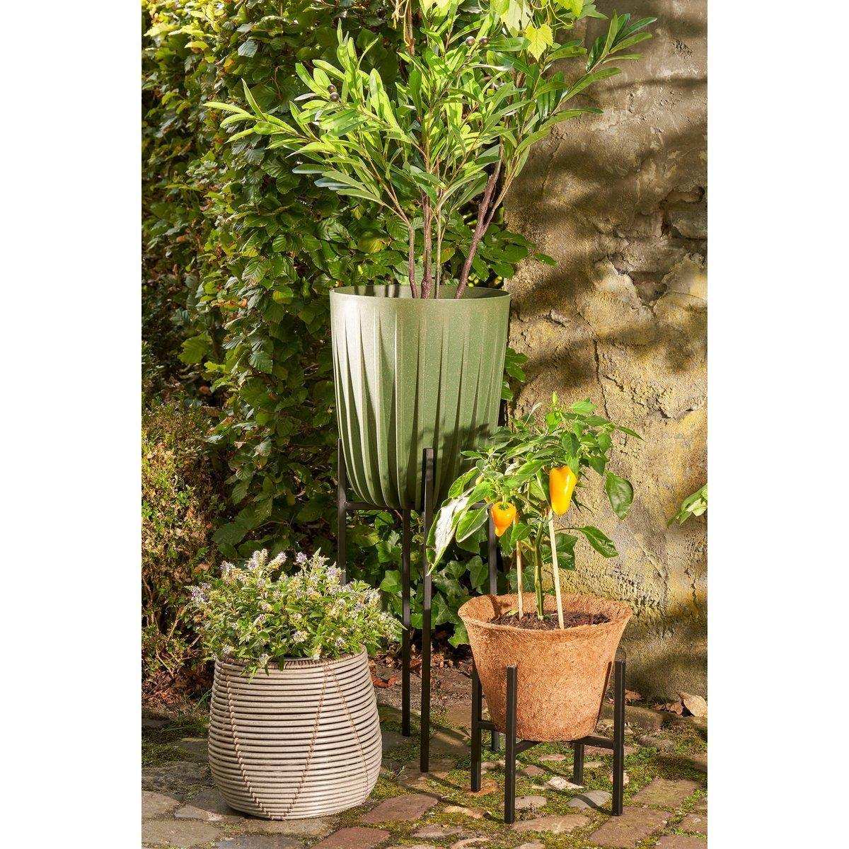 Lungo Blumentopf – H36 x Ø30 cm – Polypropylen – FSC Mix – Grün - HomeDesign Knaus
