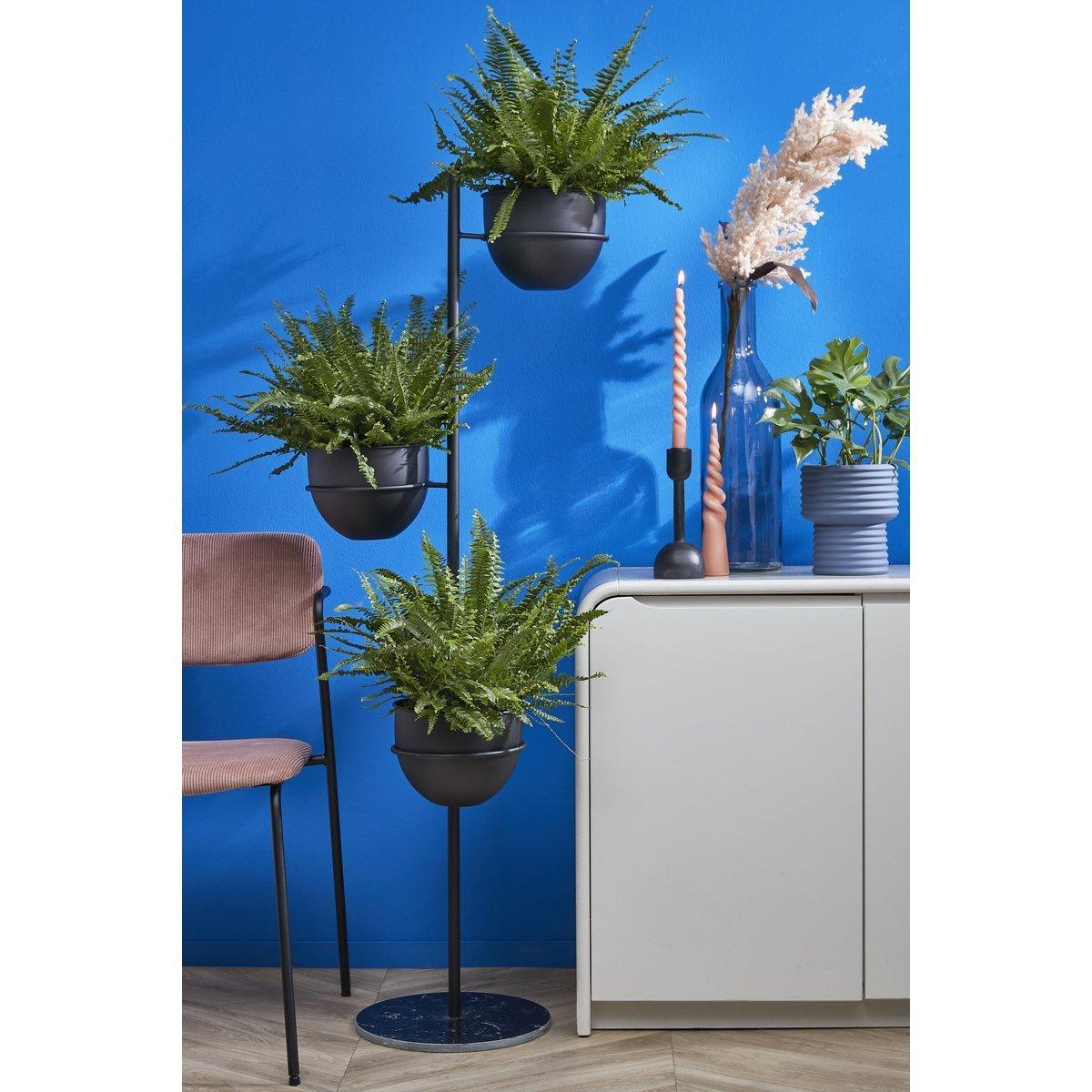 Pflanzenhalter Standard – L40 x B33 x H140 cm – Schwarz - HomeDesign Knaus