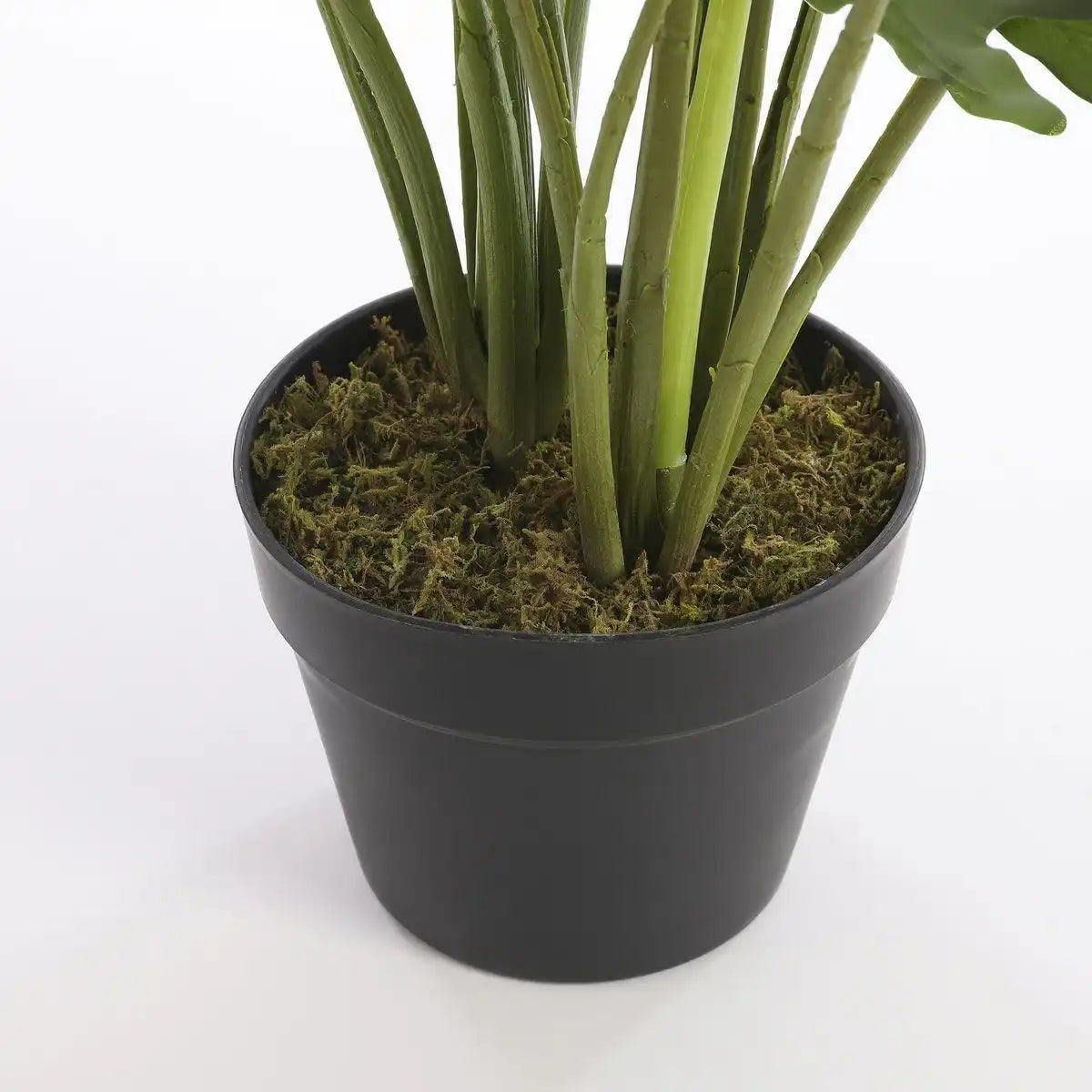 Philodendron Kunstpflanze - H60 x Ø80 cm - Grün - HomeDesign Knaus