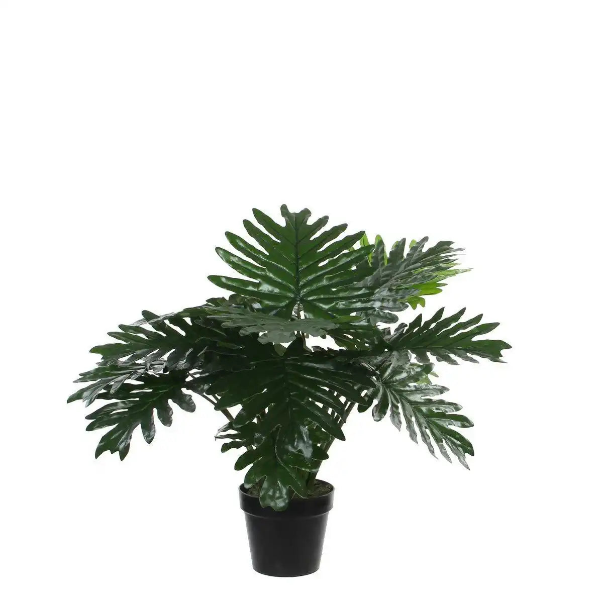 Philodendron Kunstpflanze - H60 x Ø80 cm - Grün - HomeDesign Knaus