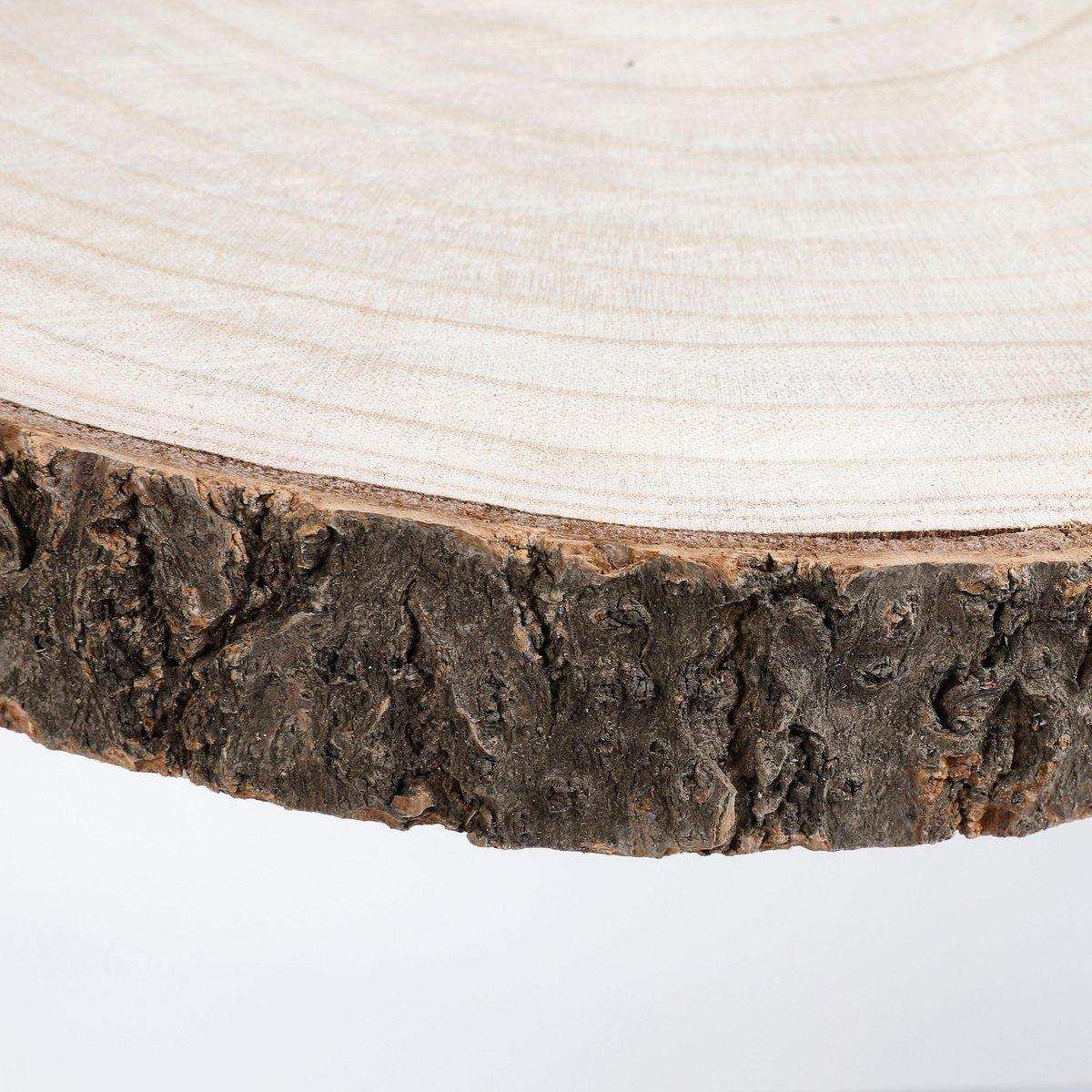 Pia Tree Trunk Beistelltisch – H14 x Ø40 cm – Hellbraun - HomeDesign Knaus