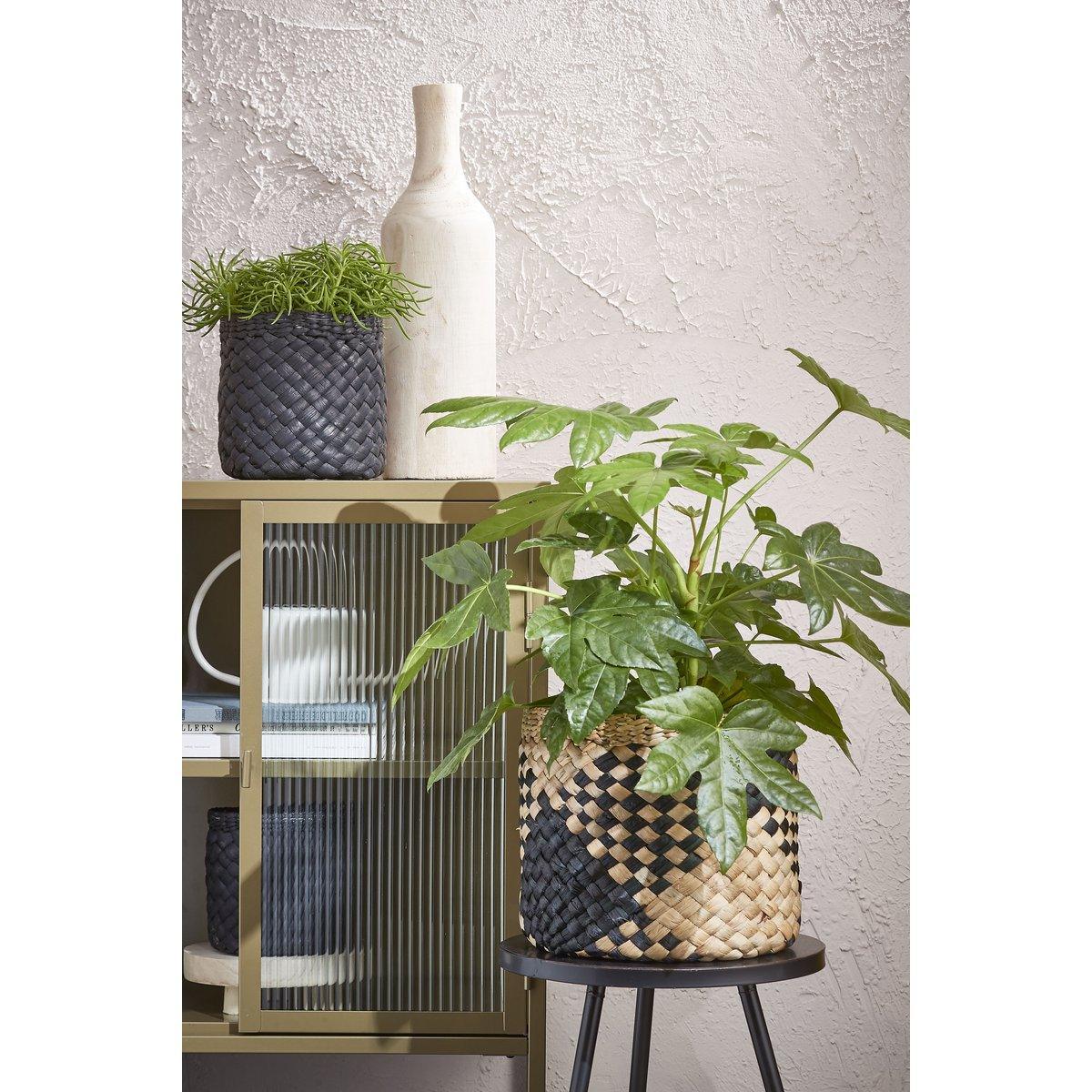 Pia Vase – H47 x Ø13 cm – Paulownia-Holz – Hellbraun - HomeDesign Knaus