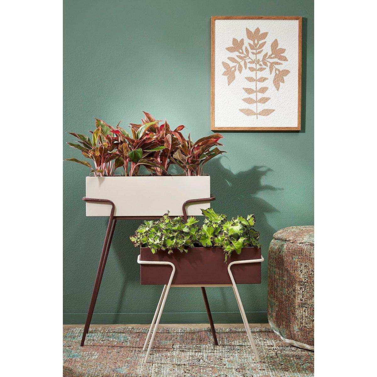 Stehender Übertopf – 2er-Set – L54 x B23 x H69,5 cm – Metall – Dunkelbraun/Beige - HomeDesign Knaus
